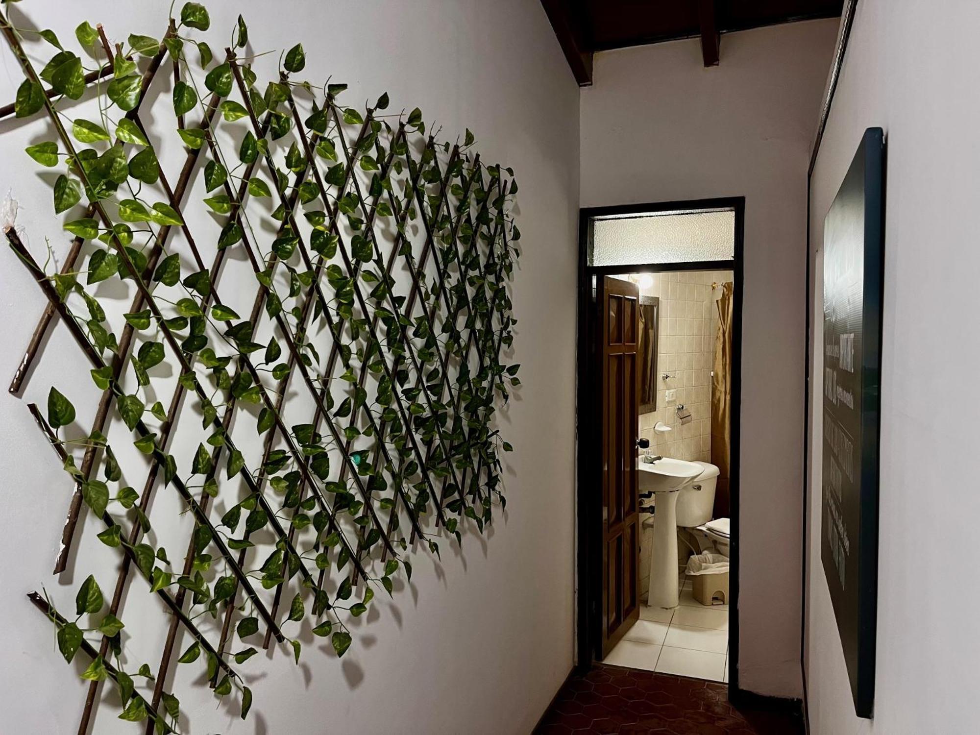 The Chill In Mansion Hostel Santa Marta Экстерьер фото