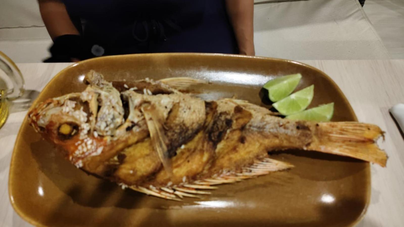 The Chill In Mansion Hostel Santa Marta Экстерьер фото
