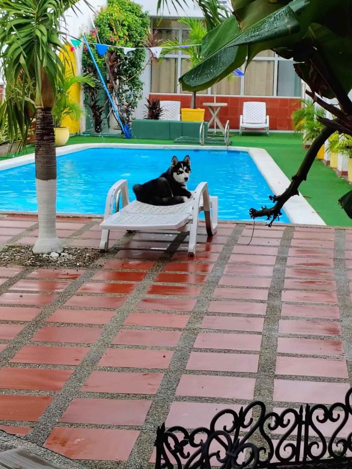 The Chill In Mansion Hostel Santa Marta Экстерьер фото